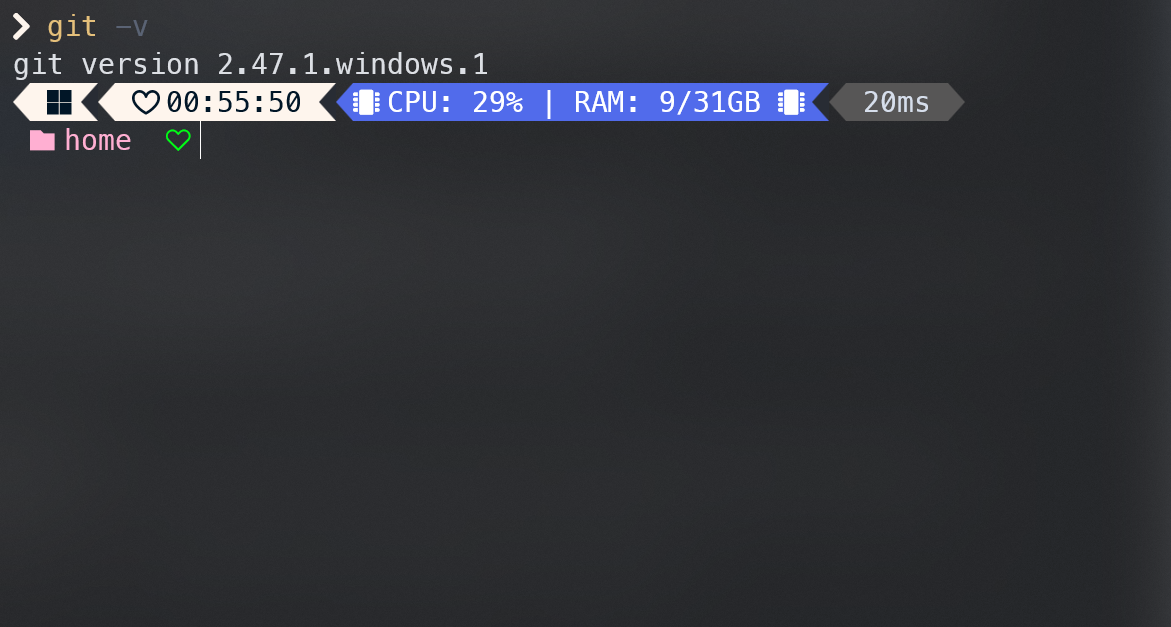 git -v